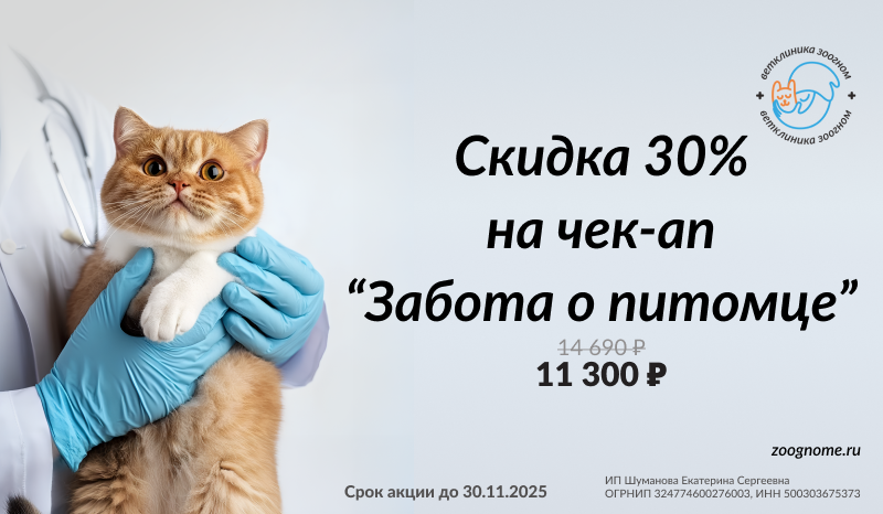Акция - комплексный чек-ап