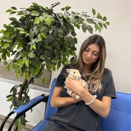 Старкова Юлия Сергеевна